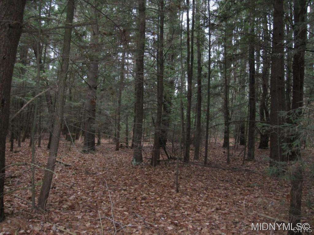 0 Murray Hill Road Fort Plain, NY 13339 - Photo 1 of 1 Gallery Image 1