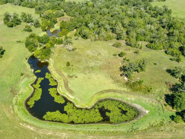 a vase of flowers sitting on a table