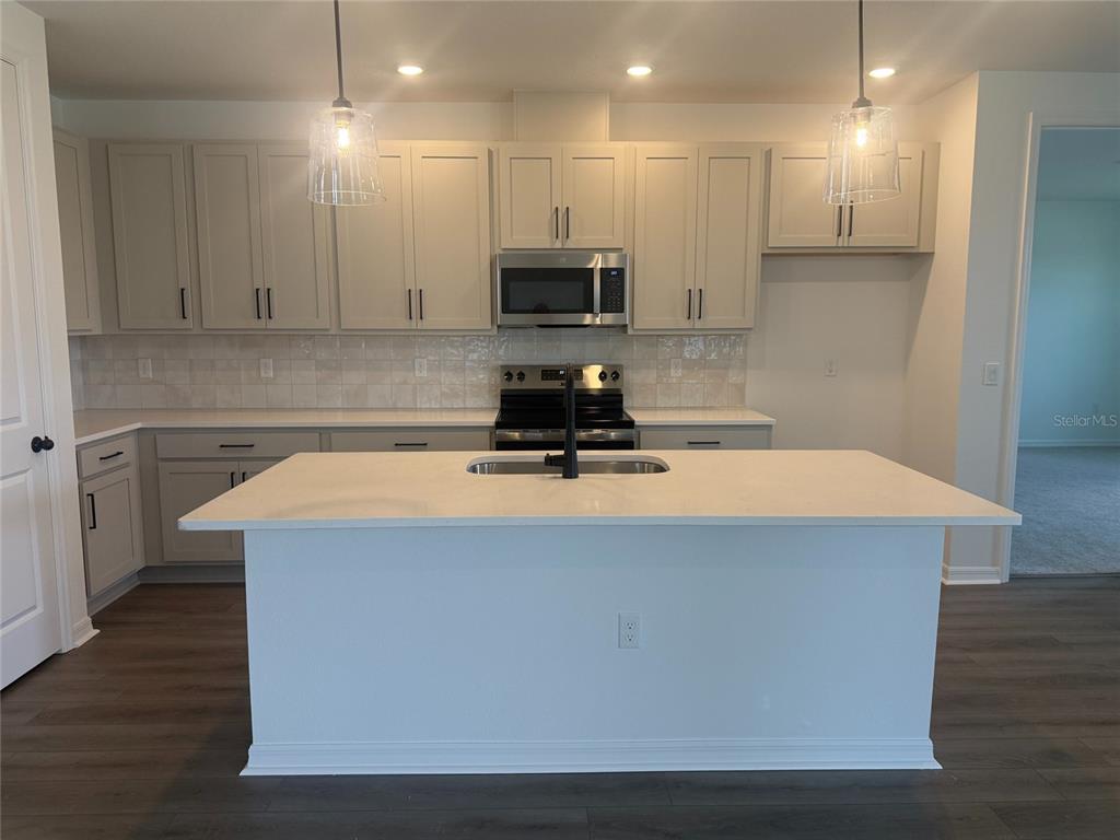 30157 Misty Pines Road Mount Dora, FL 32757 - Photo 3 of 22