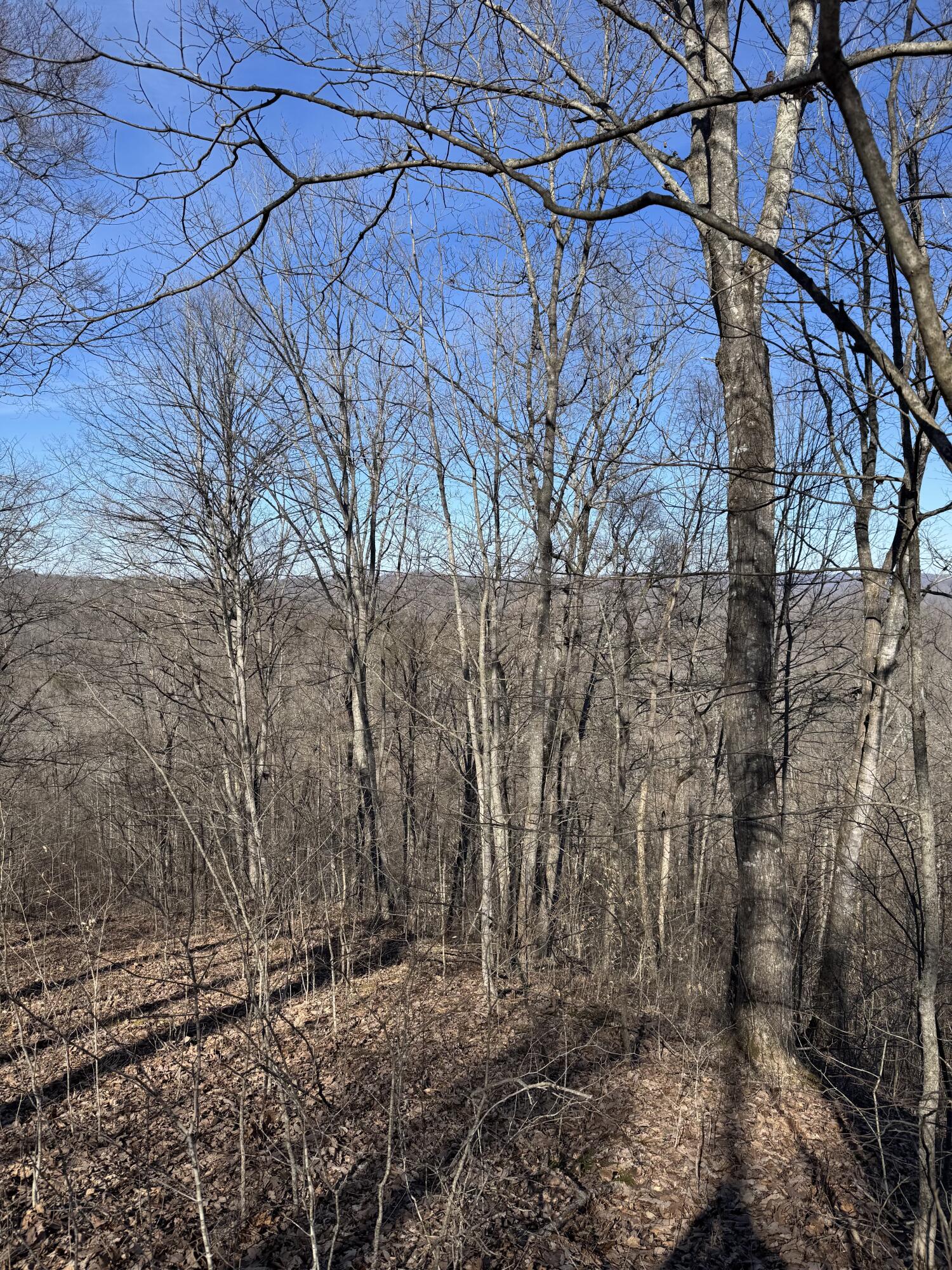 9999 Little Wildcat Creek Road Manchester, KY 40962 - Photo 9 of 18 View from the top