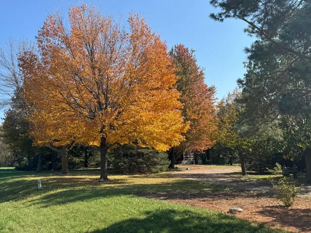 $595,000 | 29633 390th Street, Le Sueur, MN 56058