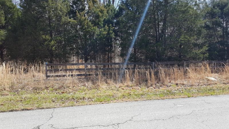 0 Pack Road White Bluff, TN 37187 - Photo 11 of 12 Gallery Image 11