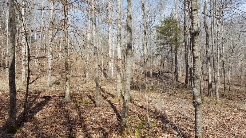 0 Pack Road White Bluff, TN 37187 - Photo 2 of 12 Gallery Image 2