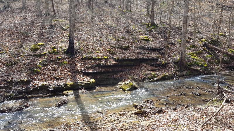 0 Pack Road White Bluff, TN 37187 - Photo 5 of 12 Gallery Image 5
