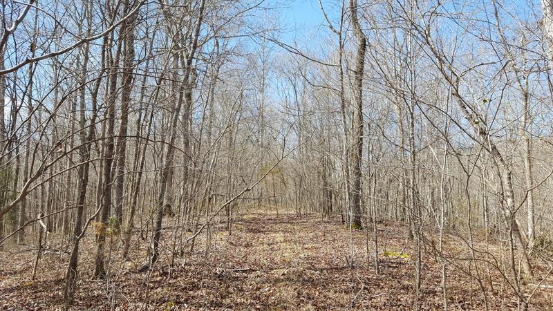 0 Pack Road White Bluff, TN 37187 - Photo 6 of 12 Gallery Image 6