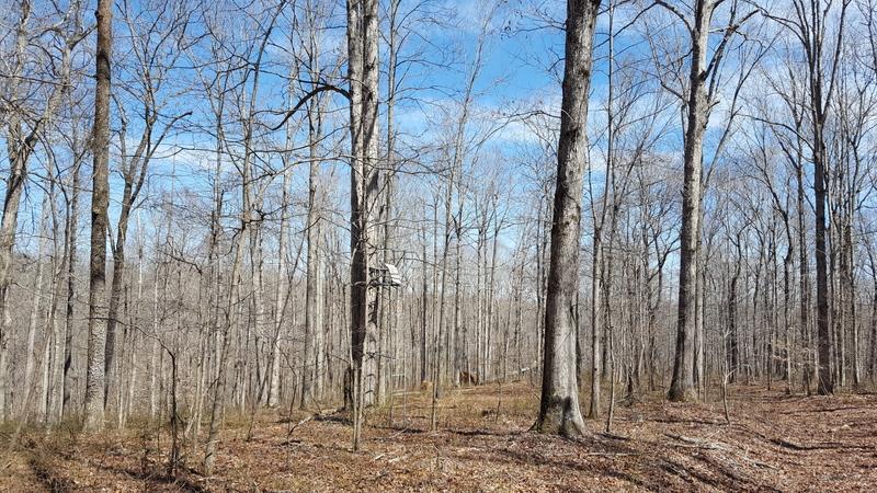 0 Pack Road White Bluff, TN 37187 - Photo 8 of 12 Gallery Image 8