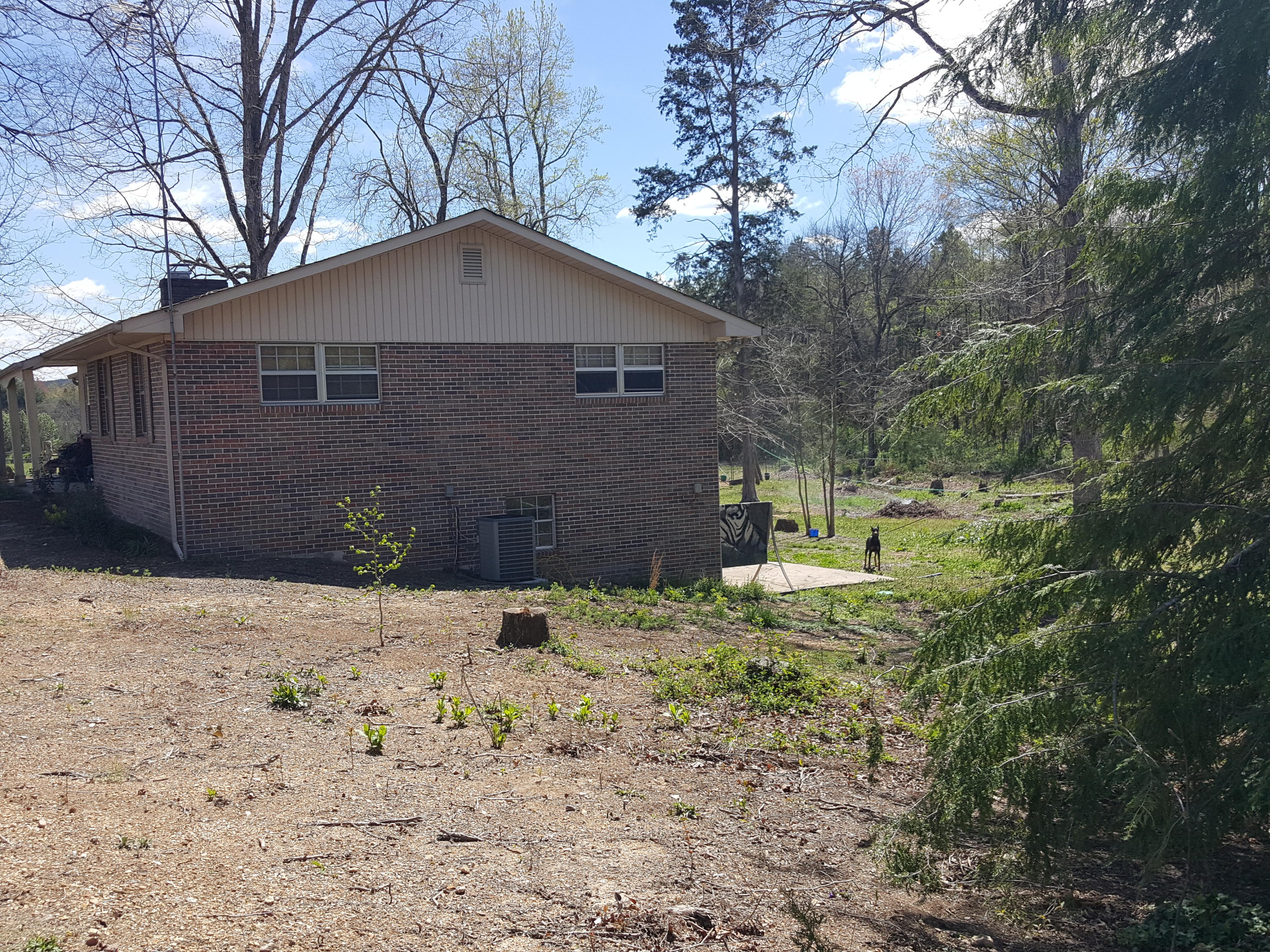 553 Sneed Road Decatur, TN 37322 - Photo 4 of 36 20170407_125039