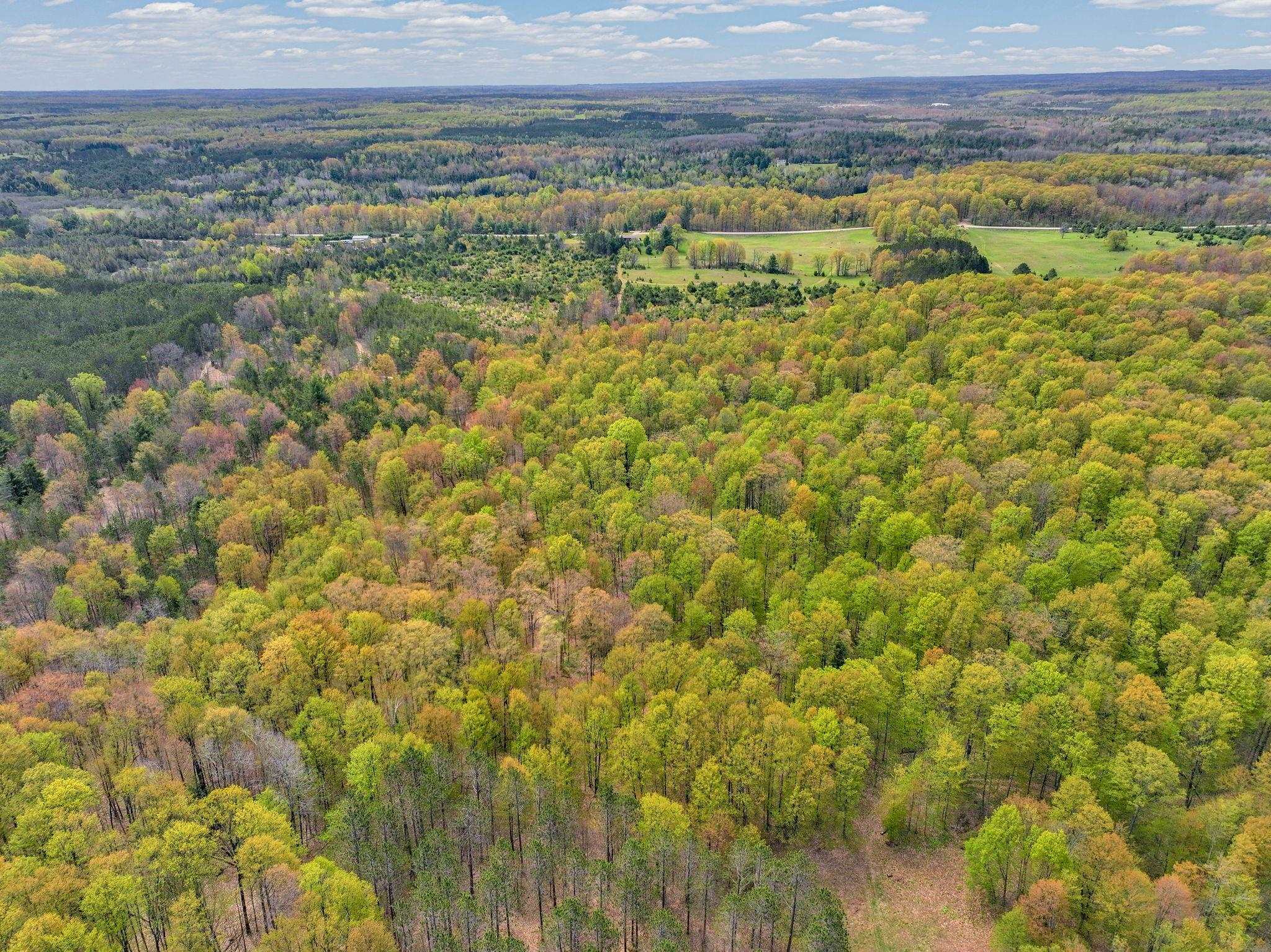 22386 16 Mile Road Leroy, MI 49655 - Photo 39 of 63