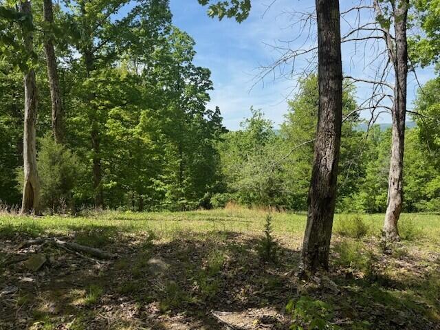 0 Pitts Gap Mountain Road Dunlap, TN 37327 - Photo 20 of 38 2