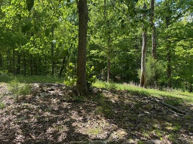 0 Pitts Gap Mountain Road Dunlap, TN 37327 - Photo 21 of 38 3