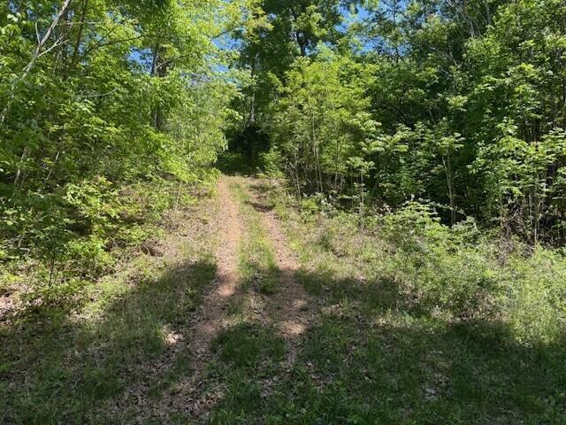 0 Pitts Gap Mountain Road Dunlap, TN 37327 - Photo 22 of 38 4