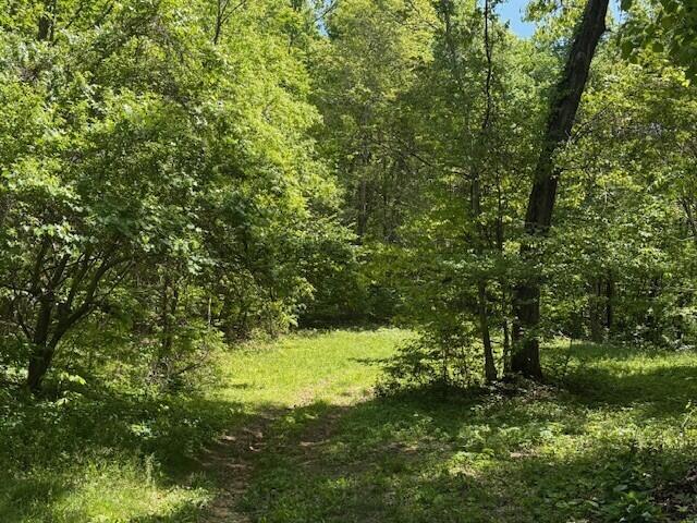 0 Pitts Gap Mountain Road Dunlap, TN 37327 - Photo 23 of 38 5