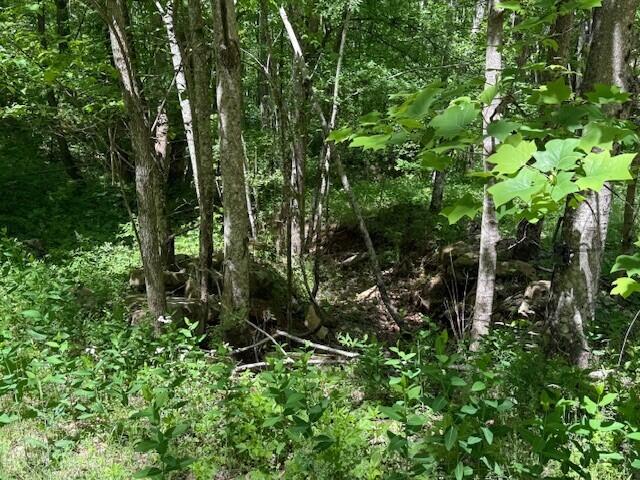 0 Pitts Gap Mountain Road Dunlap, TN 37327 - Photo 24 of 38 6