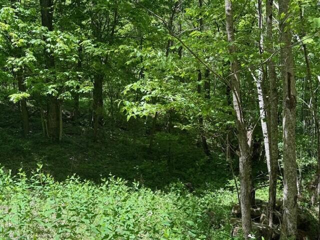 0 Pitts Gap Mountain Road Dunlap, TN 37327 - Photo 25 of 38 7