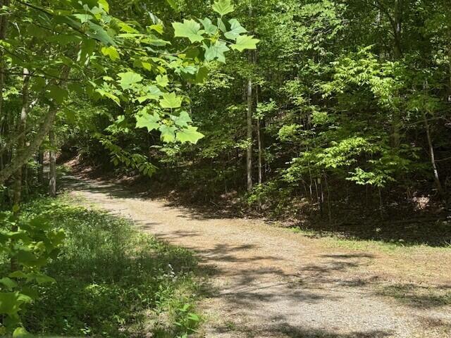 0 Pitts Gap Mountain Road Dunlap, TN 37327 - Photo 26 of 38 8