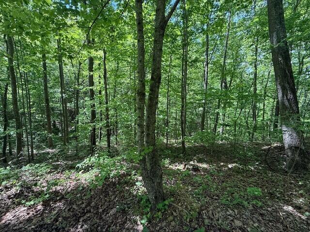 0 Pitts Gap Mountain Road Dunlap, TN 37327 - Photo 27 of 38 9