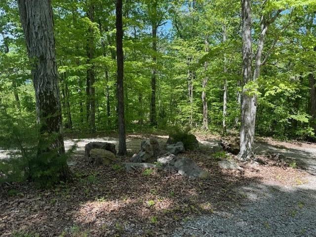0 Pitts Gap Mountain Road Dunlap, TN 37327 - Photo 28 of 38 15