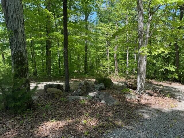 0 Pitts Gap Mountain Road Dunlap, TN 37327 - Photo 29 of 38 16