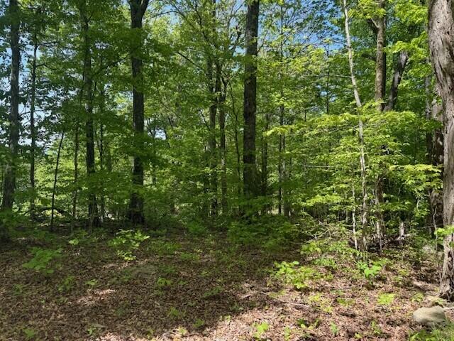 0 Pitts Gap Mountain Road Dunlap, TN 37327 - Photo 30 of 38 17