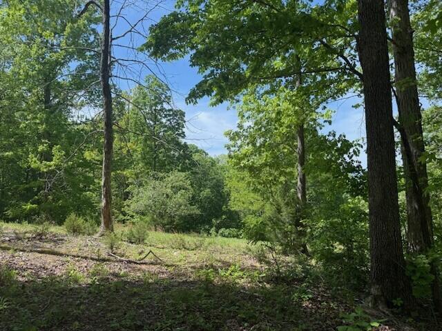 0 Pitts Gap Mountain Road Dunlap, TN 37327 - Photo 31 of 38 18
