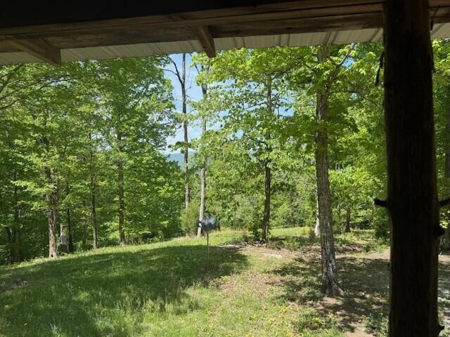 0 Pitts Gap Mountain Road Dunlap, TN 37327 - Photo 33 of 38 25