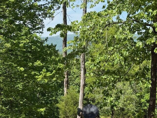 0 Pitts Gap Mountain Road Dunlap, TN 37327 - Photo 34 of 38 26