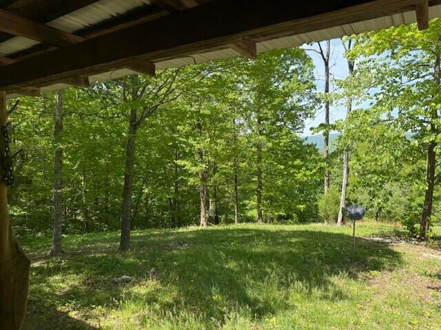 0 Pitts Gap Mountain Road Dunlap, TN 37327 - Photo 35 of 38 27