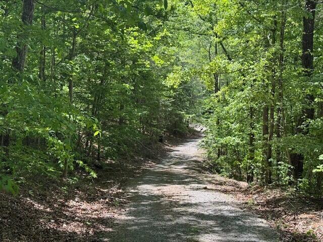 0 Pitts Gap Mountain Road Dunlap, TN 37327 - Photo 37 of 38 29