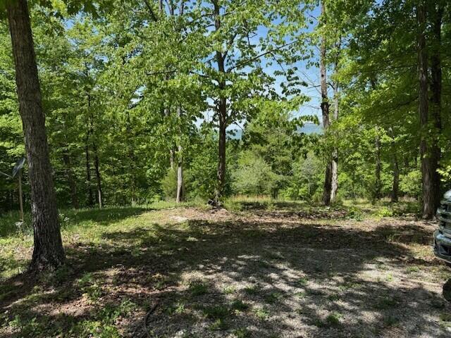 0 Pitts Gap Mountain Road Dunlap, TN 37327 - Photo 38 of 38 30
