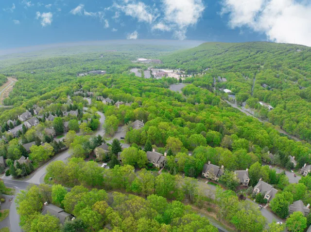 a view of a green field