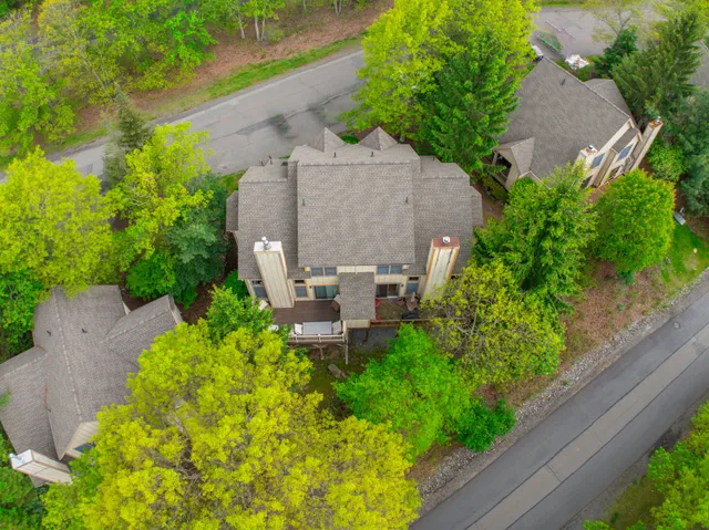 a view of a flower pot