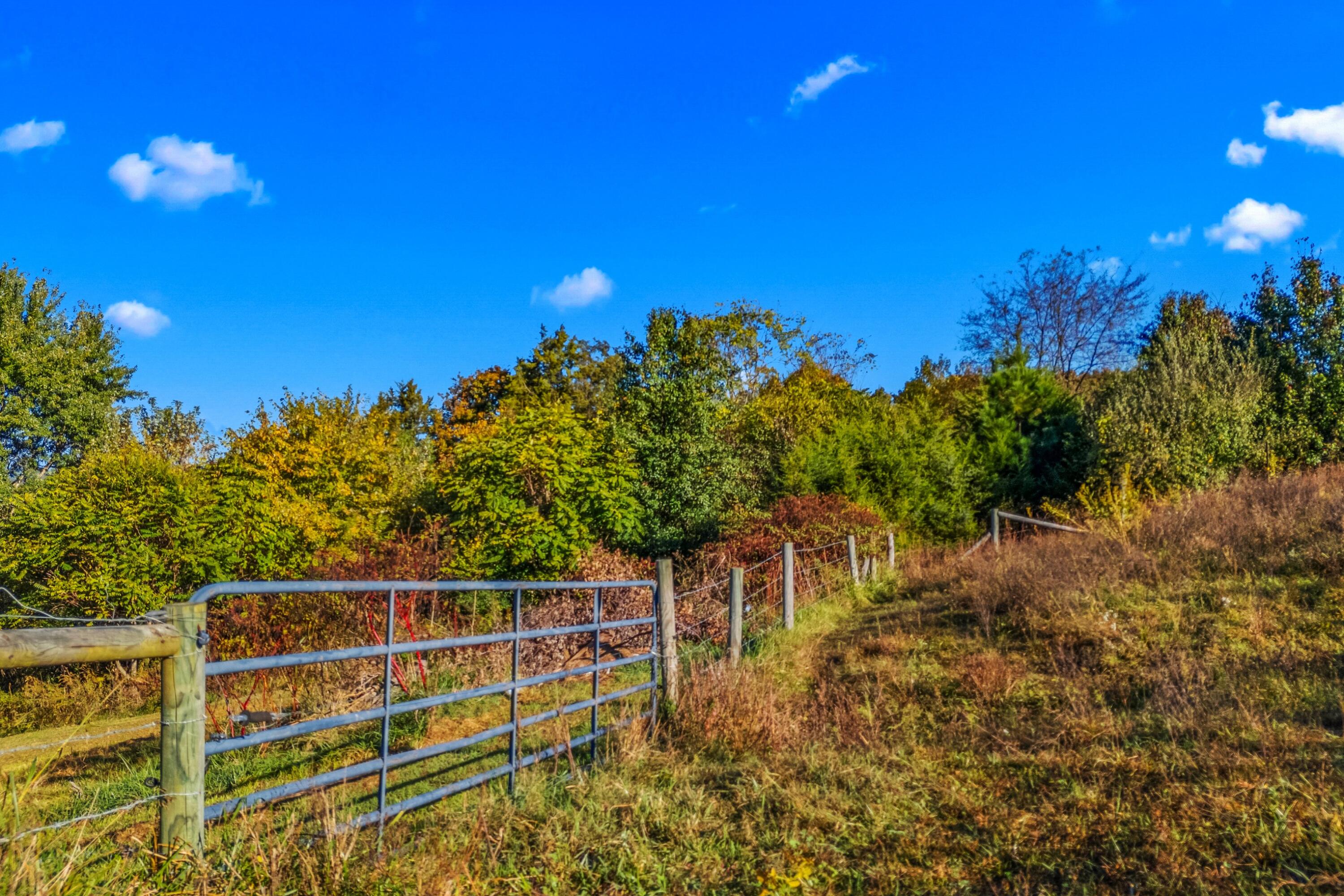 1575 Thompson Creek Road Morristown, TN 37813 - Photo 48 of 57 Thompson Creek RD