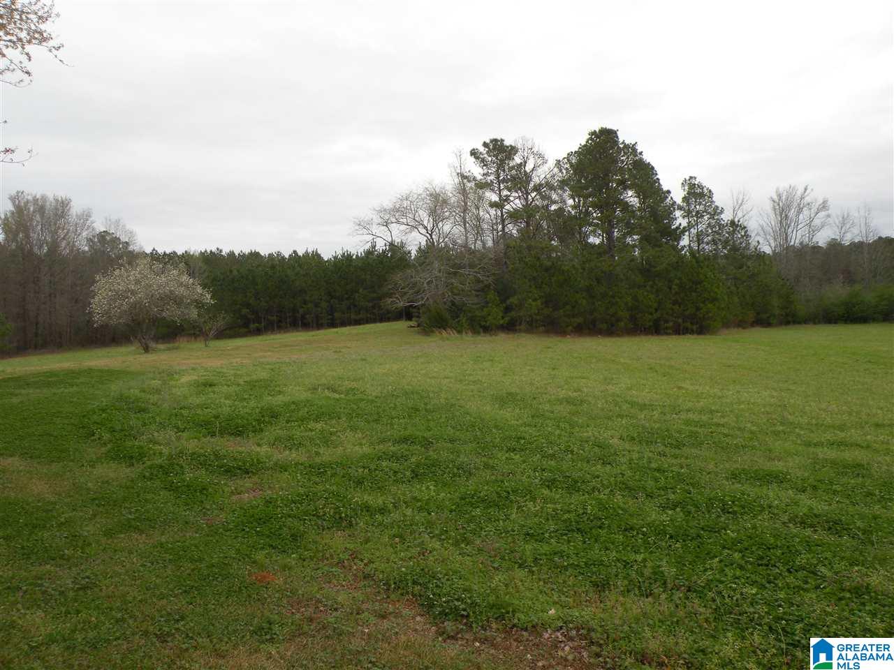 734 Branch Road Alpine, AL 35014 - Photo 31 of 33