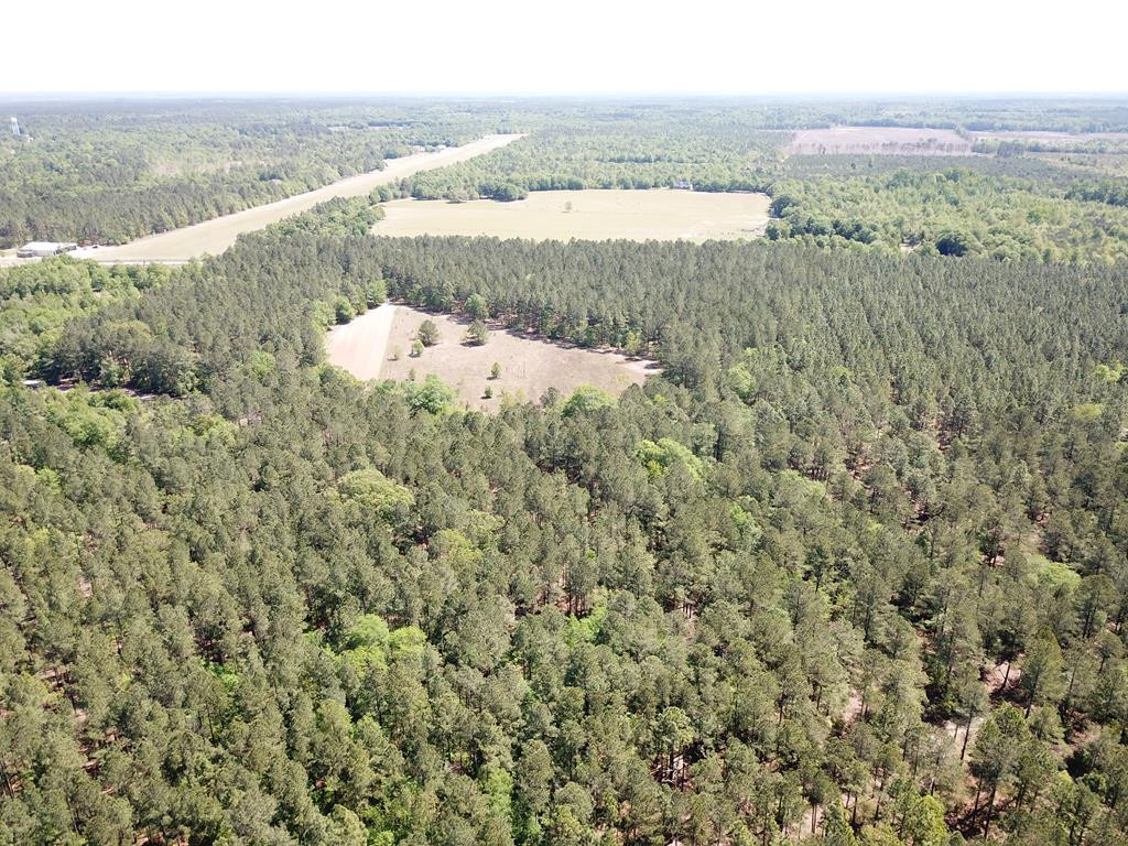 Tbd Tbd Dixie Road South Wagener, SC 29164 - Photo 7 of 25