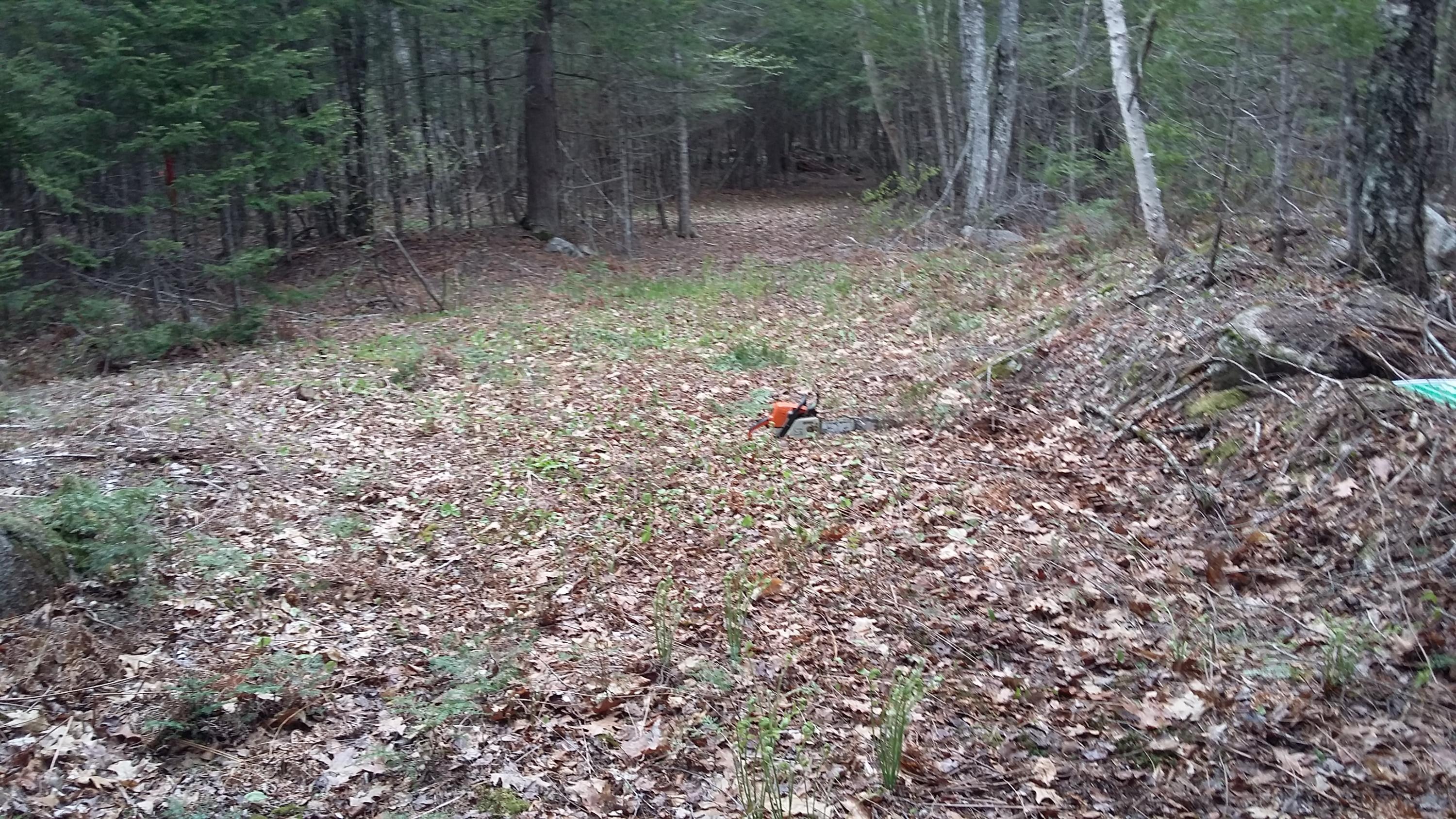 Off Off Saponac Pond Road Burlington, ME 04417 - Photo 8 of 19 20210512_121513