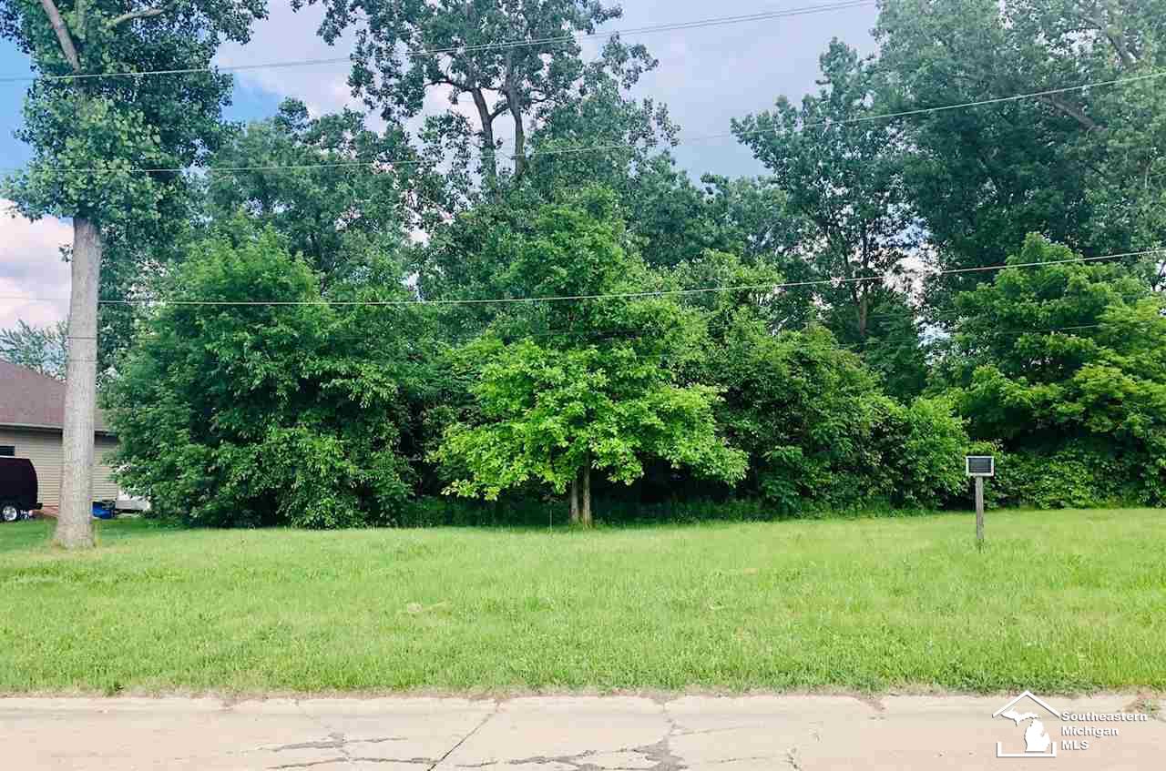 16265 Harrison Street Romulus, MI 48174 - Photo 1 of 2