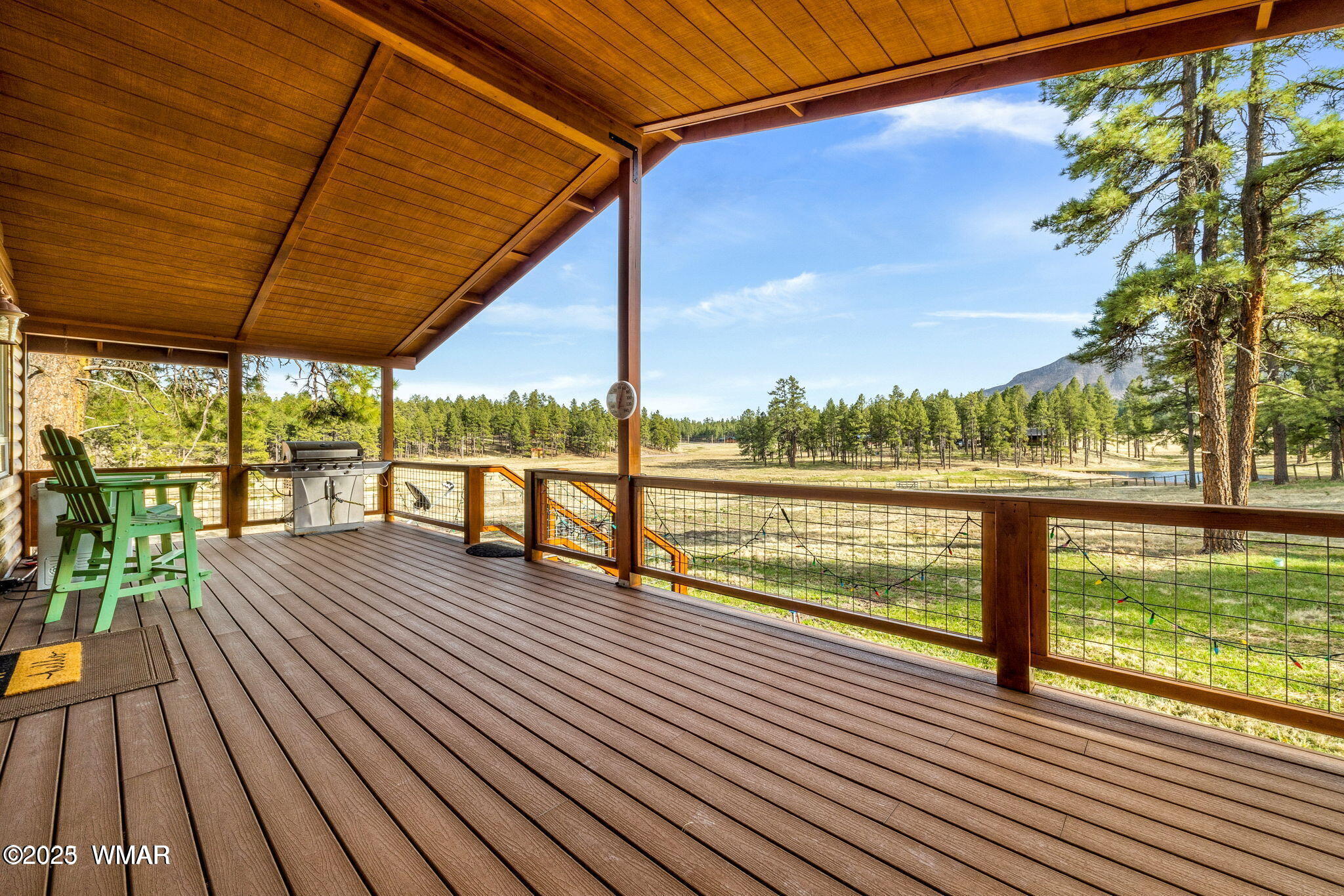 2 N2261 Alpine, AZ 85920 - Photo 4 of 33 deck 1