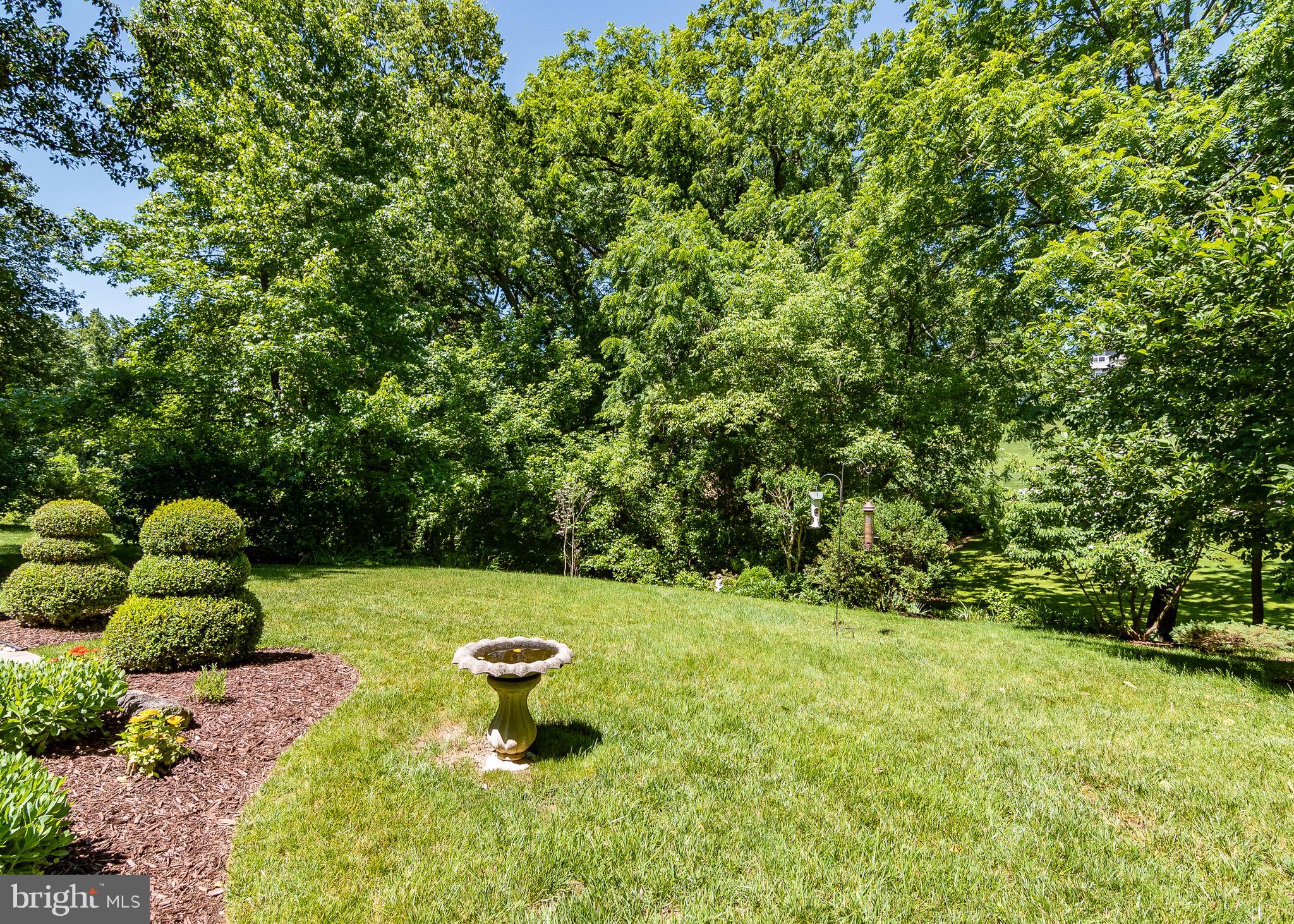 11233 Country Club Road New Market, MD 21774 - Photo 36 of 36 Rear Yard