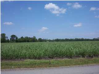 Adras Road New Iberia, LA 70560 - Photo 1 of 1 Gallery Image 1