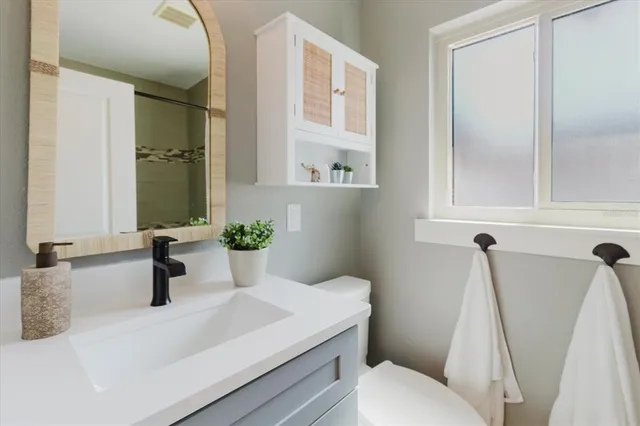 a bathroom with a sink a toilet and mirror