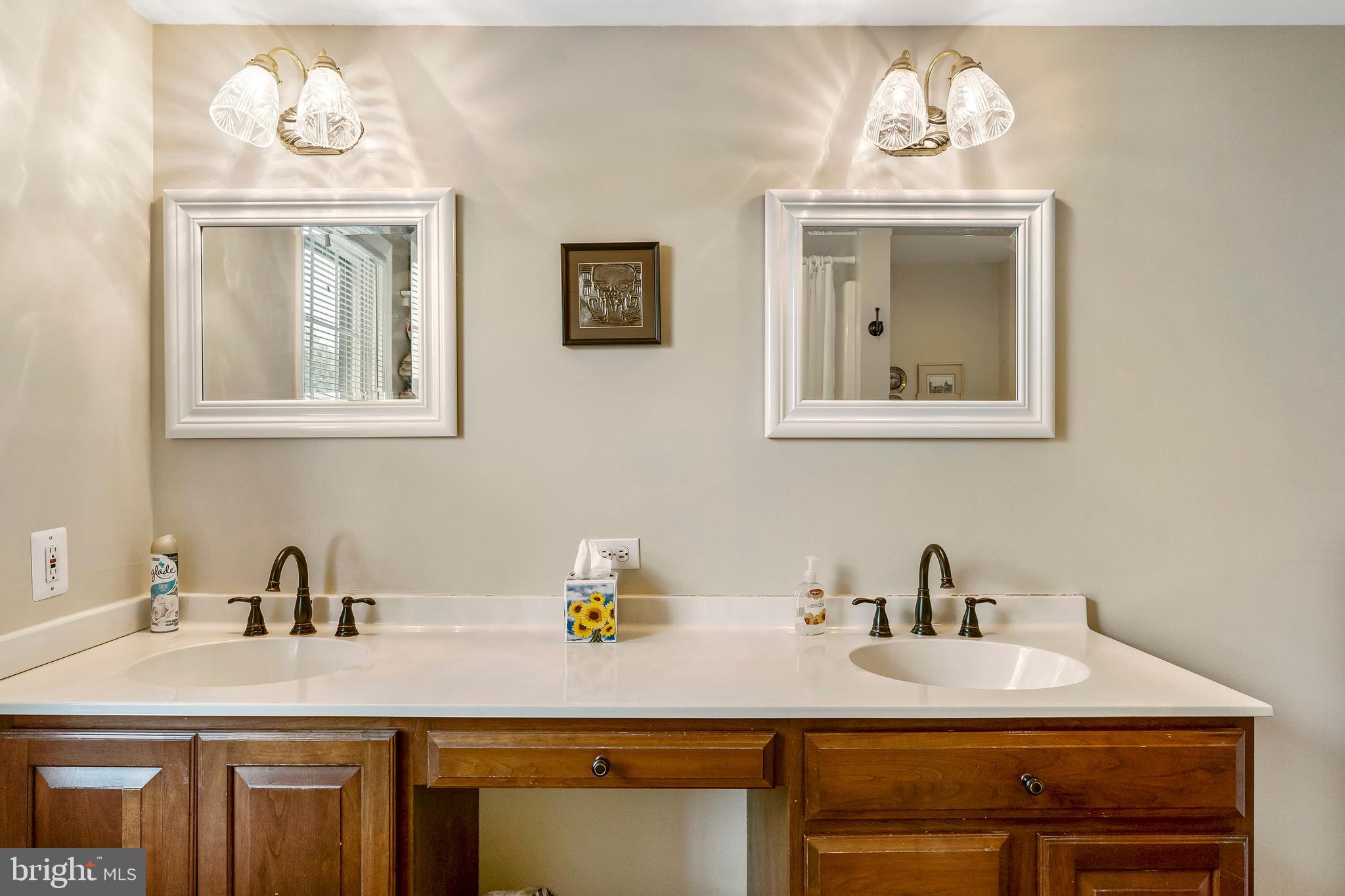 1109 Bernoudy Road White Hall, MD 21161 - Photo 54 of 64 Hall bathroom with spacious double vanity.