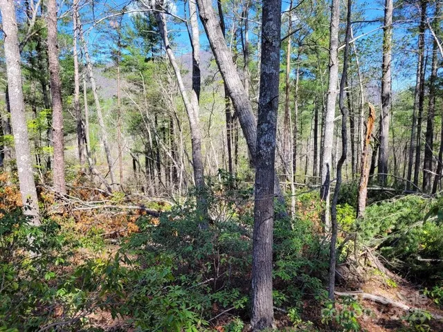 a view of statue in a garden