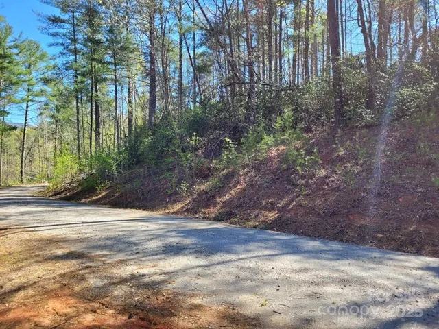 a view of a yard with plants and trees