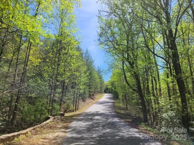 a view of a yard with plants and trees