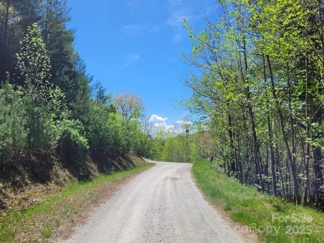 a view of a road with a yard