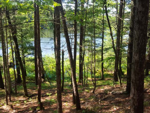 Off Jacoby Road Conover, WI 54519 - Photo 9 of 16 Gallery Image 9