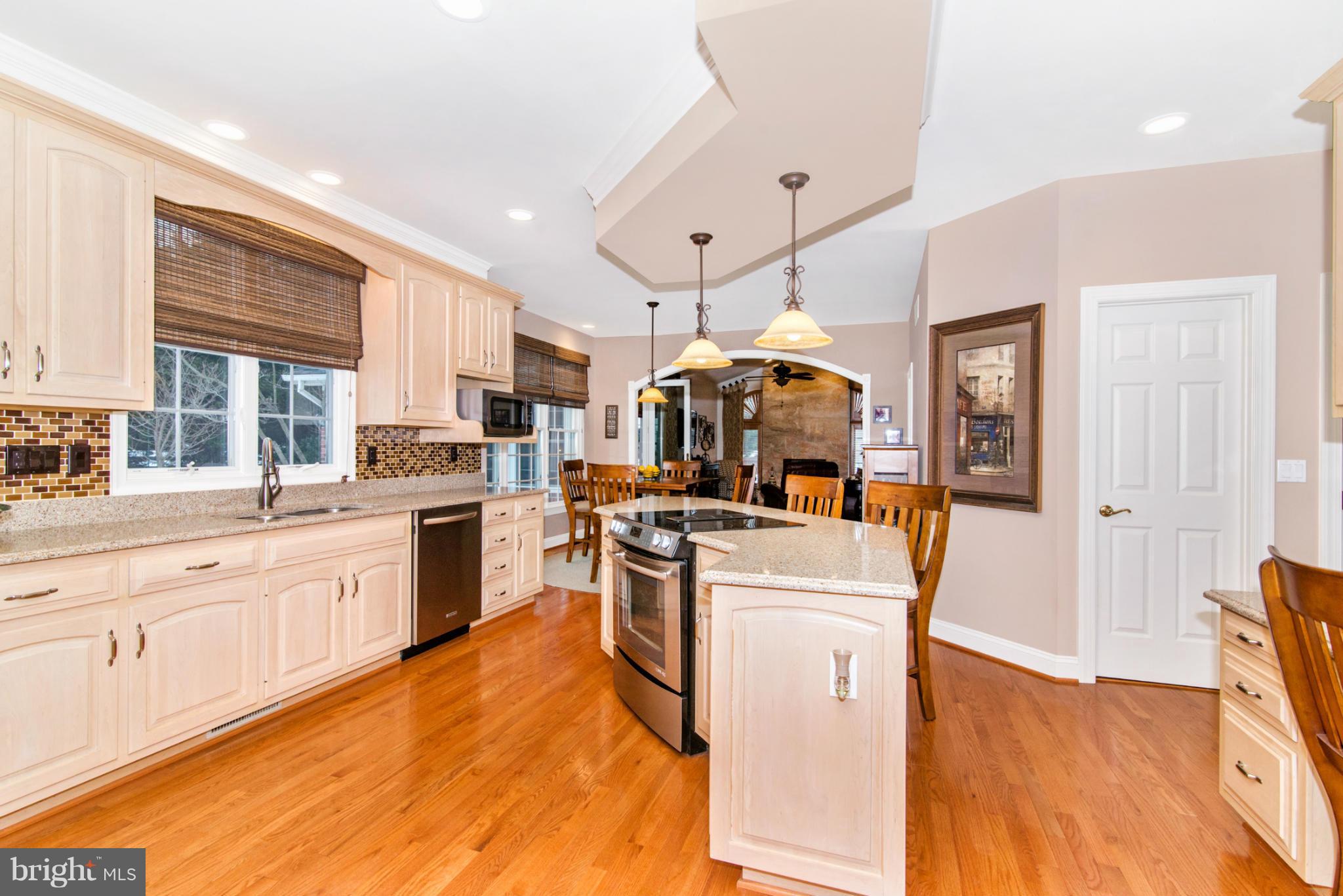 2880 Sommersby Road Mount Airy, MD 21771 - Photo 15 of 30 Convenient Kitchen Pantry and Updates Galore