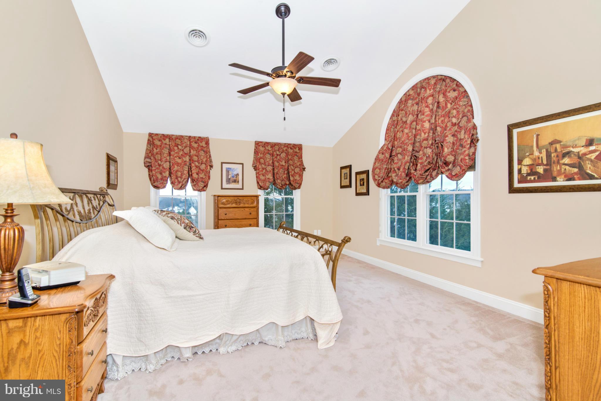 2880 Sommersby Road Mount Airy, MD 21771 - Photo 20 of 30 Stunning Master Bedroom with Vaulted Ceilings
