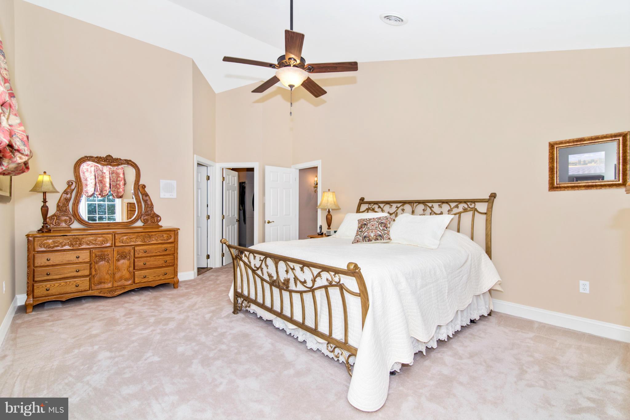 2880 Sommersby Road Mount Airy, MD 21771 - Photo 21 of 30 Enormous Walk-in Closet (ClosetMaid)