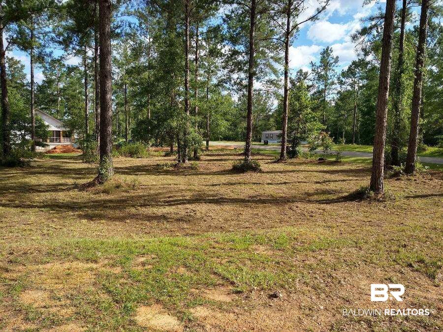 50972 Dyas Road Bay Minette, AL 36507 - Photo 4 of 7 Gallery Image 4